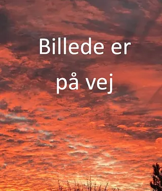 Mette Damgaard